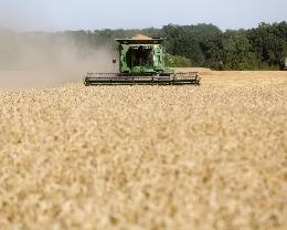 3 млн тонн зерна собрано в Саратовской области